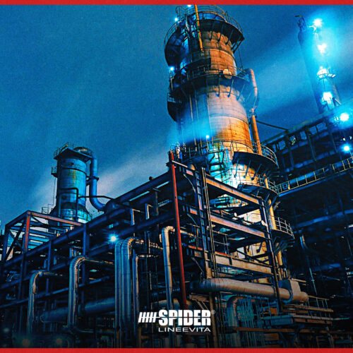 innovation-und-sicherheit-von-absturzsicherungssystemen-Lineevita