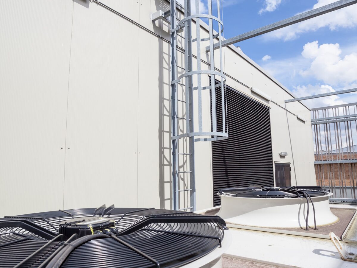 articles-113-and-115-of-legislative-decree-81-08-ladders-and-work-at-height-Lineevita