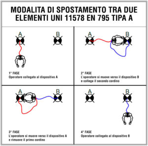 Lineevita-tipologie-e-caratteristiche