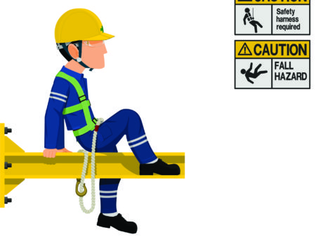 Lignes de vie : typologies et caractéristiques – 2