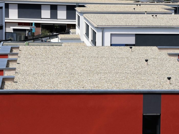 flat-roof-Lineevita