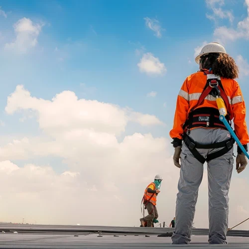 lineevita-tipologie-e-caratteristiche-Lineevita