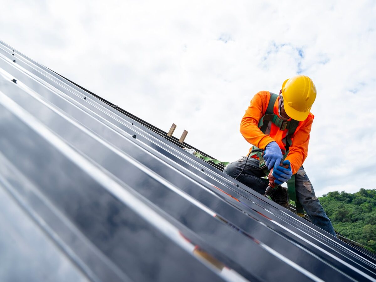 installation-Lineevita