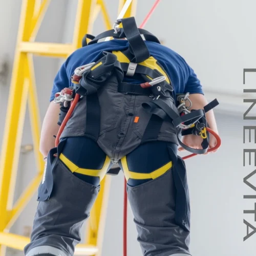 %d1%80%d0%b0%d0%b1%d0%be%d1%82%d0%b0-%d0%bd%d0%b0-%d0%b2%d1%8b%d1%81%d0%be%d1%82%d0%b5-%d0%b2%d1%81%d0%b5%d0%b3%d0%b4%d0%b0-%d0%b1%d1%83%d0%b4%d1%8c%d1%82%d0%b5-%d0%bd%d0%b0%d1%87%d0%b5%d0%ba%d1%83-Lineevita