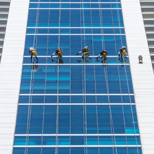 wie-installiert-man-eine-lebenslinie-und-an-wen-sollte-man-sich-wenden-Lineevita