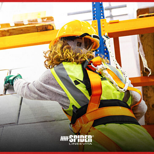 %d0%b8%d0%bd%d0%b0%d0%b8%d0%bb-%d0%b8-%d0%b8%d1%81%d1%82%d0%b0%d1%82-%d0%b2%d0%bd%d0%b8%d0%bc%d0%b0%d0%bd%d0%b8%d0%b5-%d0%ba-%d0%b6%d0%b5%d0%bd%d1%81%d0%ba%d0%be%d0%bc%d1%83-%d0%bc%d0%b8%d1%80%d1%83-Lineevita