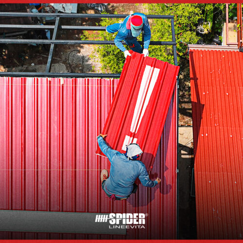 %d0%b2%d0%b8%d0%b4%d1%8b-%d0%ba%d1%80%d0%be%d0%b2%d0%bb%d0%b8-%d0%be%d0%bf%d0%b0%d1%81%d0%bd%d0%be%d1%81%d1%82%d0%b8-%d0%b8-%d0%b2%d0%bd%d0%b8%d0%bc%d0%b0%d0%bd%d0%b8%d0%b5-%d0%b2-%d1%8d%d1%82%d0%be-Lineevita