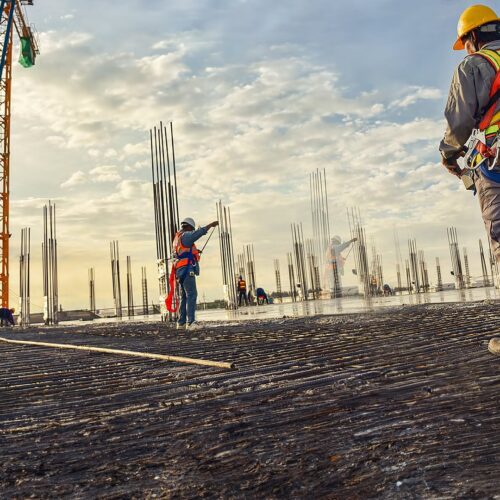 linee-vita-der-komplette-leitfaden-Lineevita