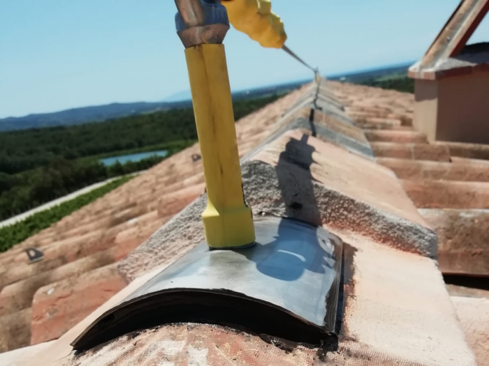 %d0%b0%d0%bd%d0%ba%d0%b5%d1%80%d0%bd%d1%8b%d0%b5-%d1%83%d1%81%d1%82%d1%80%d0%be%d0%b9%d1%81%d1%82%d0%b2%d0%b0-%d0%b2%d0%b8%d0%b4%d1%8b-Lineevita