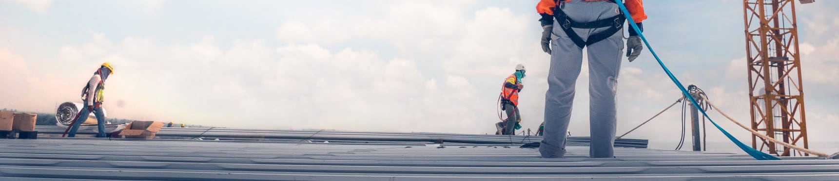 wer-sind-wir-Lineevita