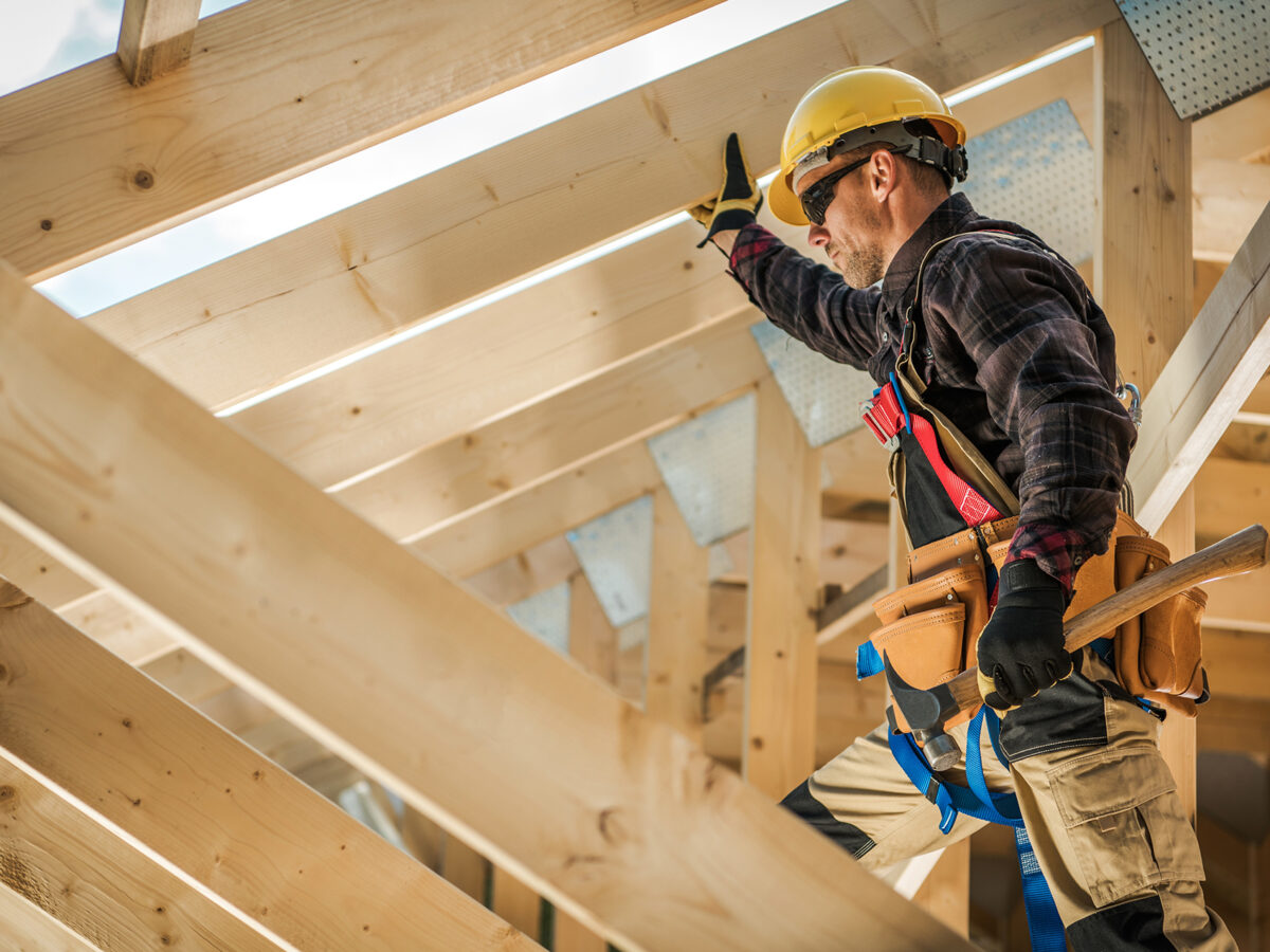 lebenslinien-fuer-holzdaecher-Lineevita