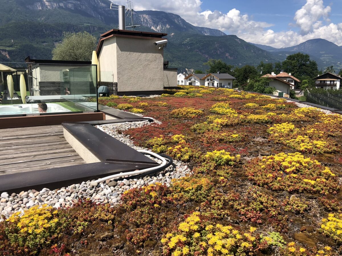 gruendaecher-Lineevita