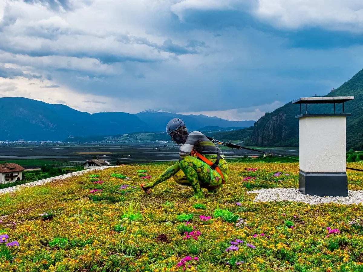 gruendaecher-Lineevita