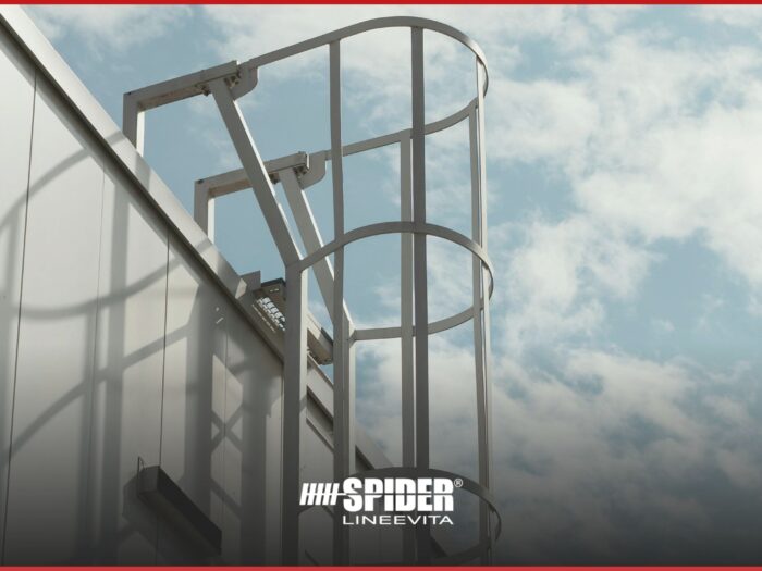 %d1%81%d1%82%d0%b0%d1%82%d1%8c%d0%b8-113-%d0%b8-115-%d0%b7%d0%b0%d0%ba%d0%be%d0%bd%d0%be%d0%b4%d0%b0%d1%82%d0%b5%d0%bb%d1%8c%d0%bd%d0%be%d0%b3%d0%be-%d0%b4%d0%b5%d0%ba%d1%80%d0%b5%d1%82%d0%b0-Lineevita